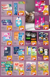 Slip Angebot & Preis im aktuellen REWE Prospekt Slip Angebot im aktuellen REWE Prospekt auf Seite 31