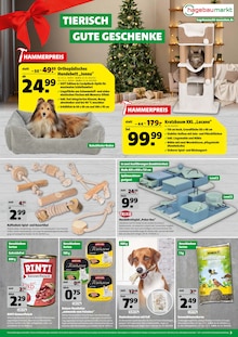 Katzenfutter im aktuellen Hagebaumarkt Prospekt (München) Katzenfutter im Hagebaumarkt Prospekt "JETZT EISKALT SPAREN!" mit 8 Seiten (München)