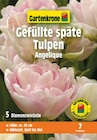 Tulpe 'Angelique' Angebote von Gartenkrone bei Hagebaumarkt Hannover für 4,49 €