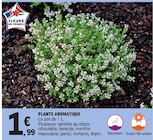 Promo Plante Aromatique à 1,99 € dans le catalogue E.Leclerc à Épinay-sur-Seine