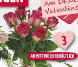 Edelrosenstrauß im aktuellen Prospekt bei EDEKA in Ottenbach