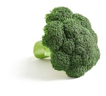 Bio Broccoli Angebote bei Lidl Hildesheim für 1,79 €