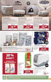 Aktueller Dehner Garten-Center Prospekt mit Felix Katzenfutter, "Aktuelle Angebote", Seite 17