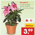 Angebot im Netto Marken-Discount Gingen (Fils) Prospekt Netto Marken-Discount Gingen (Fils) Prospekt mit im Angebot für 3,99 €