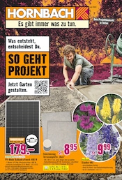 Aktueller Hornbach Prospekt mit Pflanzen, "Was entsteht, entscheidest Du.", Seite 1