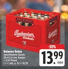 Aktuelles Budweiser Budvar verschiedene Sorten Angebot bei EDEKA in Leipzig ab 13,99 €