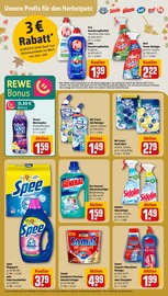 Aktueller REWE Prospekt mit Aloe Vera, "Dein Markt", Seite 14