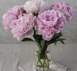 Bouquet 5 Pivoines à Super U dans Lunel-Viel Bouquet 5 Pivoines à Super U dans Lunel-Viel