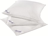 Aktuelle Kopfkissen Angebote bei Möbelzentrum Pforzheim in Stuttgart Aktuelles 3-Kammer-Kopfkissen Angebot bei Möbelzentrum Pforzheim in Stuttgart ab 29,99 €
