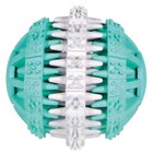 Trixie DentaFun Mintfresh Ball Naturgummi ø 6 cm Angebote von Trixie bei Zookauf Berlin für 4,99 €