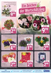 Aktueller EDEKA Prospekt mit Orchidee, "Top Angebote", Seite 7