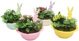 Bepflanzte Osterschale im Angebot bei REWE in Wunstorf Bepflanzte Osterschale Angebote bei REWE Wunstorf für 7,99 €