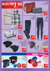 Aktueller Marktkauf Prospekt mit Hose, "AUSWAHL RIESIG, PREISE NIEDRIG", Seite 40