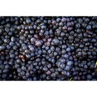Raisin noir dans le catalogue Carrefour
