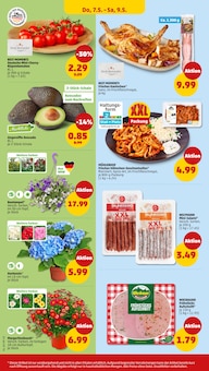 Wurst im Penny Prospekt "Wer günstig will, muss Penny." mit 40 Seiten (Leverkusen)