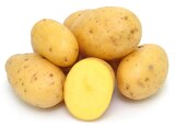 Bio Speisekartoffeln im Angebot bei REWE in Bergheim Bio Speisekartoffeln Angebote bei REWE Bergheim für 3,99 €
