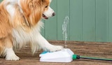 Wasserfontäne 'Sprinkler' im Dehner Garten-Center Prospekt Wasserfontäne 'Sprinkler' von im aktuellen Dehner Garten-Center Prospekt für 14,99 €