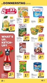 Ketchup Angebote im Prospekt "Günstig. Besser. Für Dich." von Netto mit dem Scottie auf Seite 24