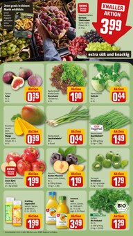 Kiwi im aktuellen REWE Prospekt (Frankfurt (Main)) Kiwi im REWE Prospekt "Dein Markt" mit 16 Seiten (Frankfurt (Main))
