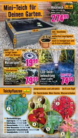 Aktueller Hornbach Prospekt mit Wasser, "Den besten Preis kann nur anbieten, wer ihn wirklich hat.", Seite 13
