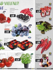 Pflanzen im EDEKA Prospekt in Ratingen Aktueller EDEKA Prospekt mit Pflanzen, "Aktuelle Angebote", Seite 9