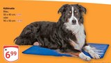 GLOBUS - Kühlmatte Angebot im Prospekt Kühlmatte bei GLOBUS im Prospekt "" für 6,99 €