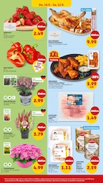 Rote Paprika Angebot im aktuellen Penny Prospekt auf Seite 28