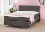 Aktuelle Bett Angebote bei Die Möbelfundgrube in Trier Aktuelles Boxspringbett Gitta Angebot bei Die Möbelfundgrube in Trier ab 699,99 €