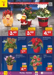 Aktueller Netto Marken-Discount Prospekt mit Blumen, "Aktuelle Angebote", Seite 6
