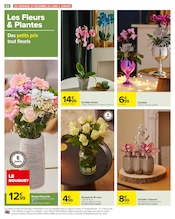 Promos Orchidée dans le catalogue "Carrefour" de Carrefour à la page 68