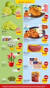 Eisbergsalat Angebot im Penny Prospekt, gültig von 16.03.2026 bis 22.03.2026 Eisbergsalat Angebot im aktuellen Penny Prospekt auf Seite 40