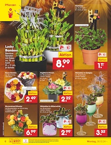 Blumen im Netto Marken-Discount Prospekt "Aktuelle Angebote" mit 61 Seiten (Würzburg)