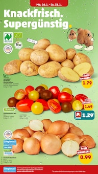 Tomaten im Penny Prospekt "Wer günstig will, muss Penny." mit 46 Seiten (Münster)