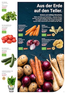 Zucchini im GLOBUS Prospekt "Aktuelle Angebote" mit 37 Seiten (Mannheim)