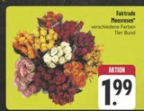 EDEKA Ammerthal Prospekt mit  im Angebot für 1,99 €