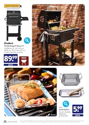 Holzkohlegrill im ALDI SÜD Prospekt in Neuss Aktueller ALDI SÜD Prospekt mit Holzkohlegrill, "DEINE GRÜNE WOHLFÜHLOASE ZUM ORIGINAL ALDI PREIS", Seite 30