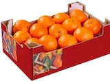 Kaufland Weiberhof - Spanische Clementinen XXL Angebot im Prospekt Spanische Clementinen XXL bei Kaufland im Weiberhof Prospekt für 3,99 €