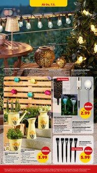 Led lichterkette im Penny Prospekt "Wer günstig will, muss Penny." mit 40 Seiten (Essen)
