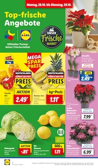 Blumen im Lidl Prospekt "LIDL LOHNT SICH" mit 61 Seiten (Darmstadt)