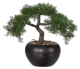 Aktuelle Bonsai Angebote bei mömax in Hannover Aktuelles Kunstpflanze BONSAI Angebot bei mömax in Hannover ab 13,00 €