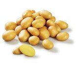 Pomme de terre primeur - Lidl à Mâcon Pomme de terre primeur en promo chez Lidl Mâcon à 2,49 €
