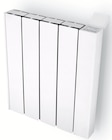 Promo RADIATEUR ALU INERTIE CÉRAMIQUE à 114,90 € dans le catalogue Brico Cash à Gauchy