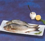 Bar d'aquaculture en promo chez U Express La Rochelle à 8,95 €