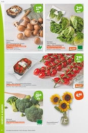 Bio Salat Angebot im aktuellen tegut Prospekt auf Seite 4