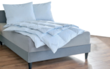 Aktuelles Serie Labrador Dreikammerkissen Angebot bei Matratzen Concord in Regensburg ab 79,90 €