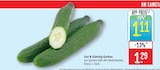 Marktkauf Holzgerlingen - Gurken Angebot im Prospekt Gurken bei Marktkauf im Holzgerlingen Prospekt für 1,11 €