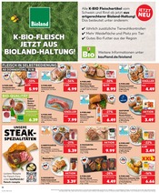 Aktueller Kaufland Prospekt mit Schweinebauch, "KNÜLLER", Seite 23