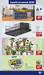 Offre Anthurium dans le catalogue Aldi du moment à la page 43