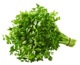 Glatte Petersilie  im aktuellen REWE Prospekt für 1,19 €