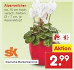Aktuelle Zimmerpflanzen Angebote bei Netto Marken-Discount in Essen Aktuelles Alpenveilchen Angebot bei Netto Marken-Discount in Essen ab 2,99 €